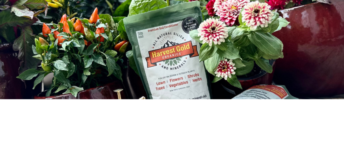 What Are the Benefits of Silica for Plants?