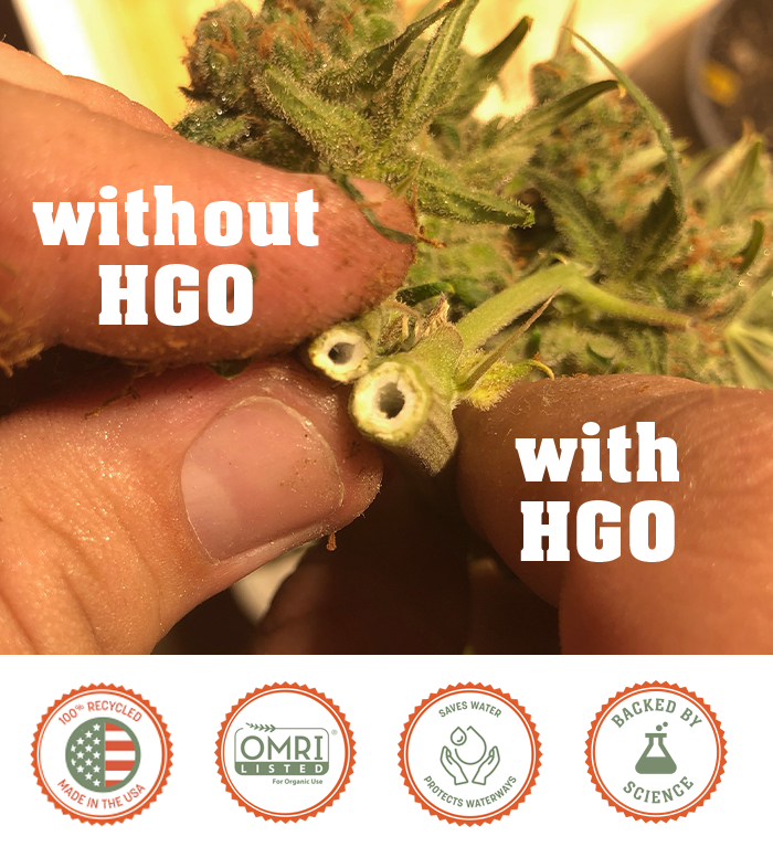 Harvest Gold Organics Premium Soil Conditioner: Buy One Get One Free