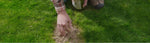 How to Improve Your Garden Soil Using a Fall Cover Crop