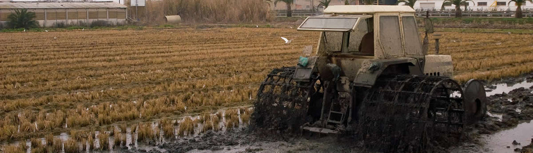 The Missing Layer in Regenerative Farming: Soil Structure, Silica, and Crop Resilience