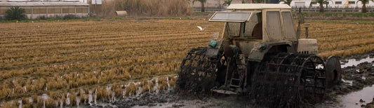 The Missing Layer in Regenerative Farming: Soil Structure, Silica, and Crop Resilience